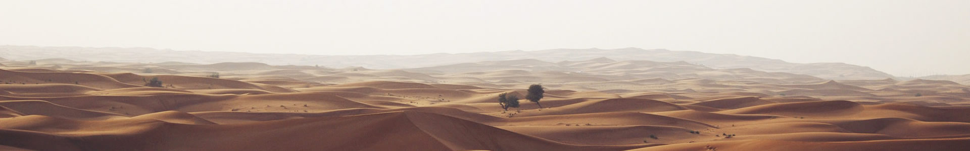 ϾӿƼ޹˾